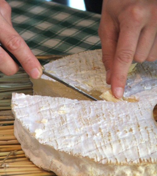 Brie-Fromagerie-Ganot-Jouarre Brie-Fromagerie-Ganot-Jouarre