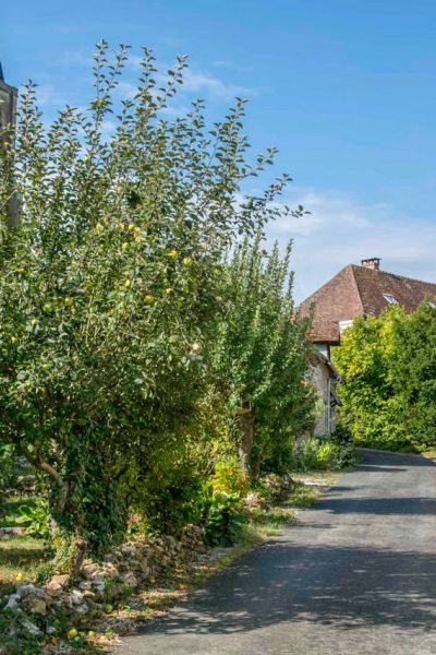 Rue-de-l'Eglise-Guerard-Crédit : Loic Seron