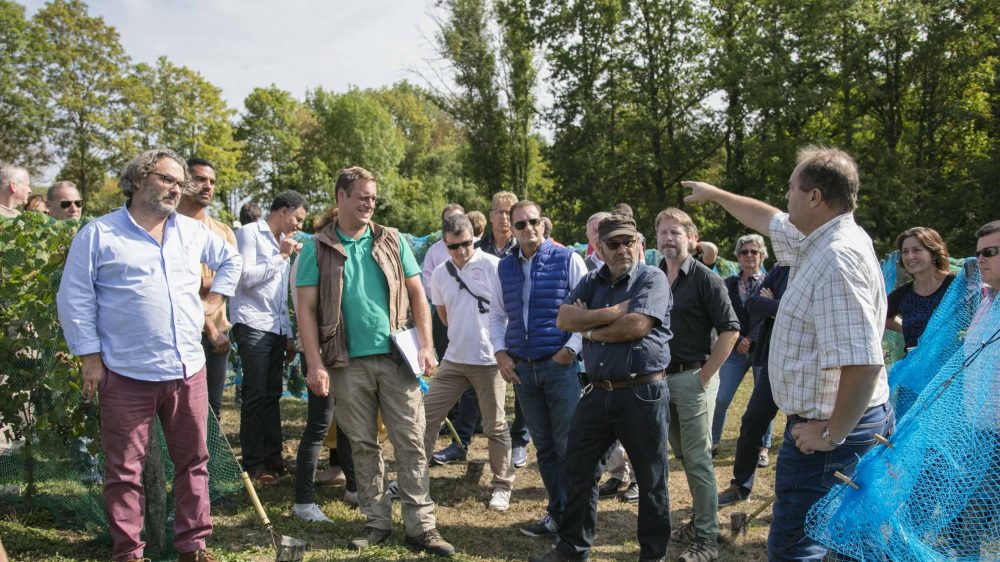 Visite-Groupe-Vigne-Envie-Guerard-2018