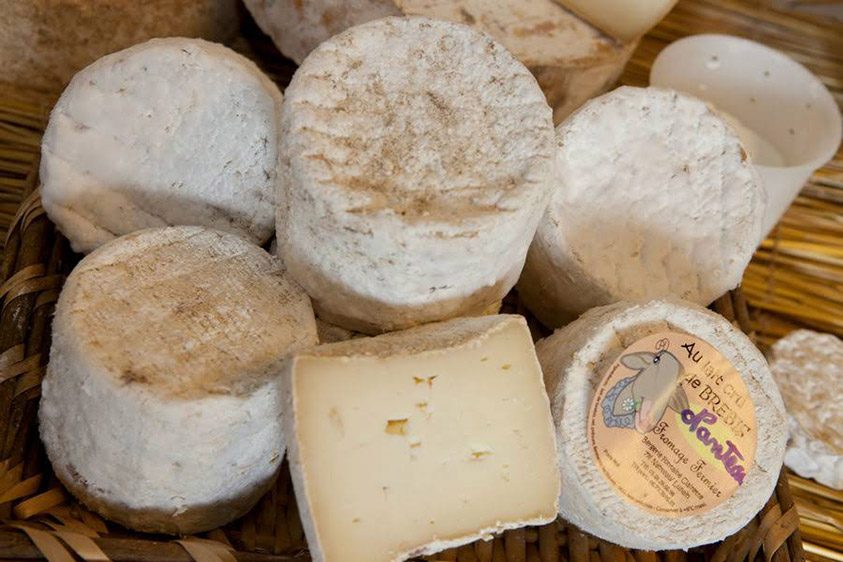 Foire-Internationale-aux-Fromages Foire-Internationale-aux-Fromages