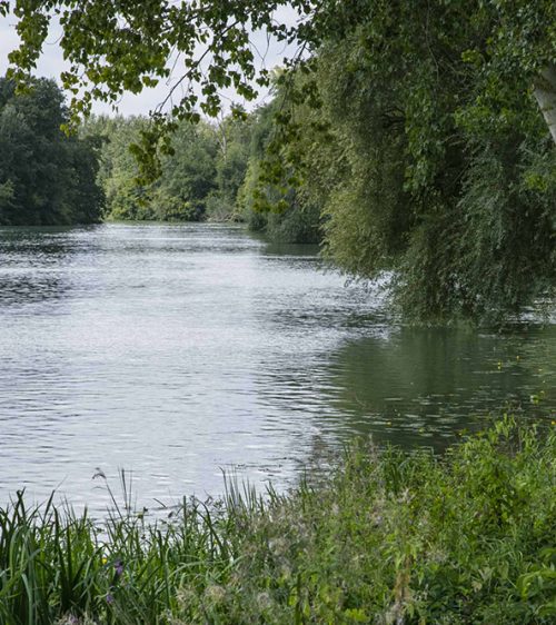 Au-Bord-de-l'Eau-La-Marne-Crédit : Loic Seron