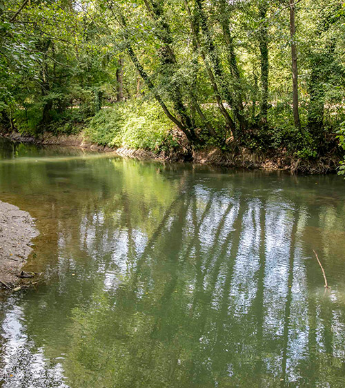 Grand-Morin Grand-Morin