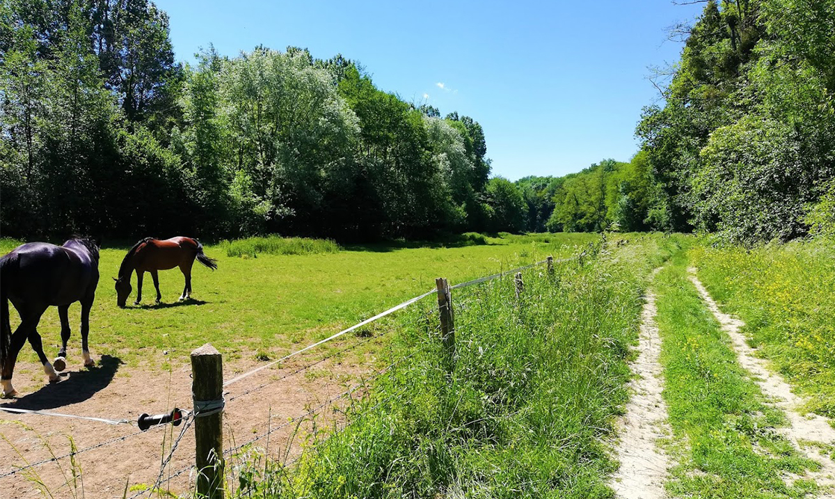 Crédits Photo : Coulommiers Pays de Brie Tourisme