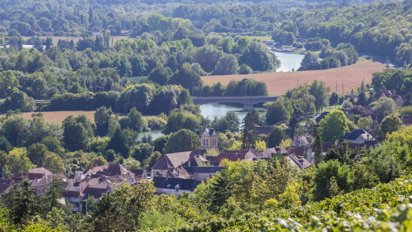 Champagne-Bombart-Saacy-sur-Marne-01-07-18 Champagne-Bombart-Saacy-sur-Marne-01-07-18