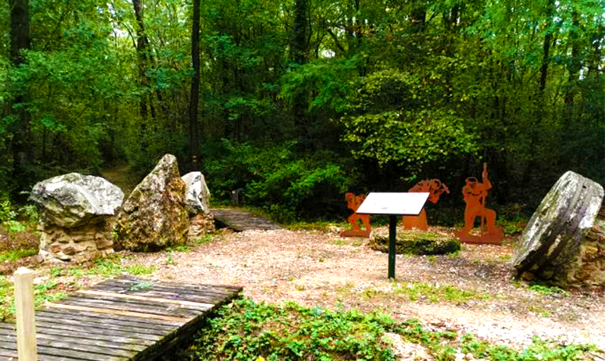 Bois de la Barre 3