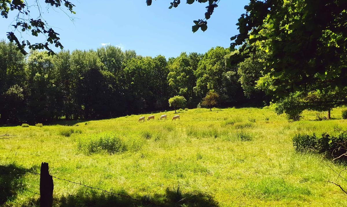 Crédits Photo : Coulommiers Pays de Brie Tourisme