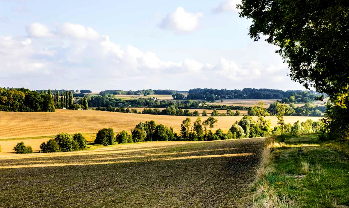 Crédits Photo : Coulommiers Pays de Brie Tourisme