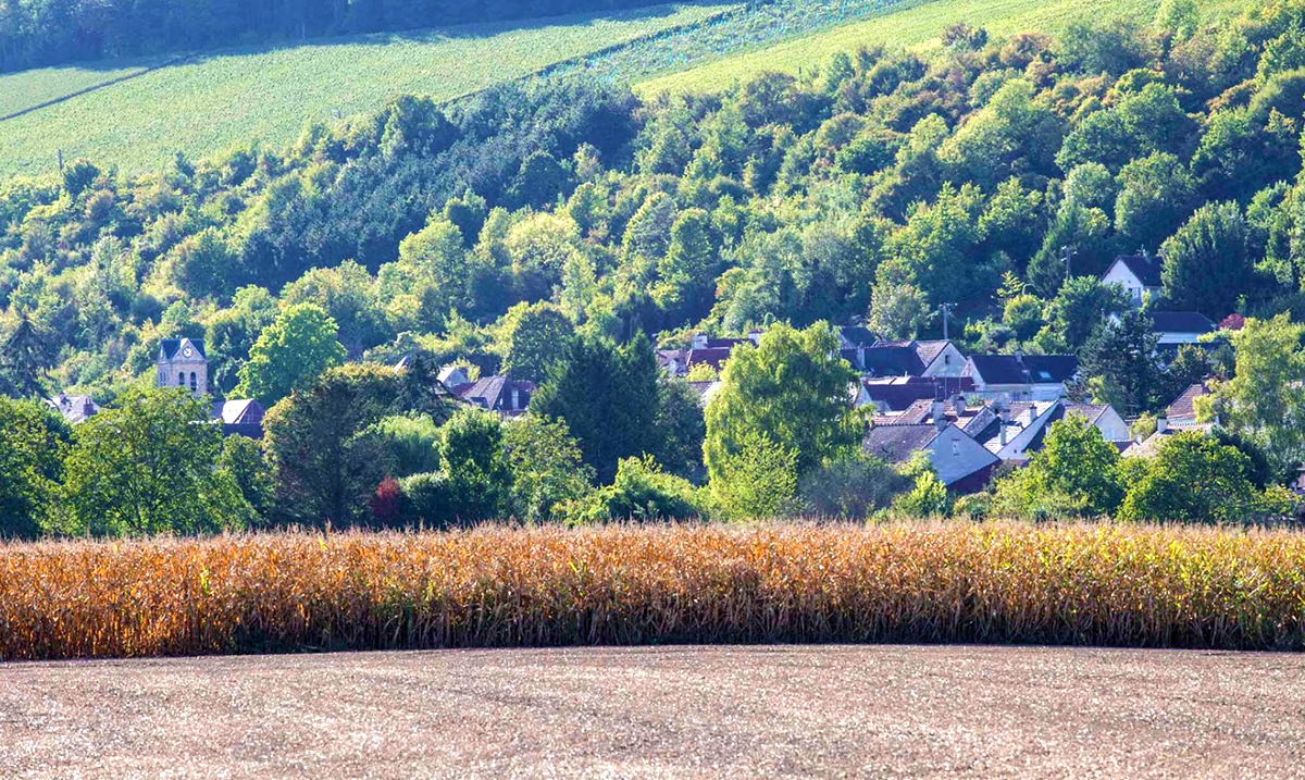 Crédits Photo : Coulommiers Pays de Brie Tourisme