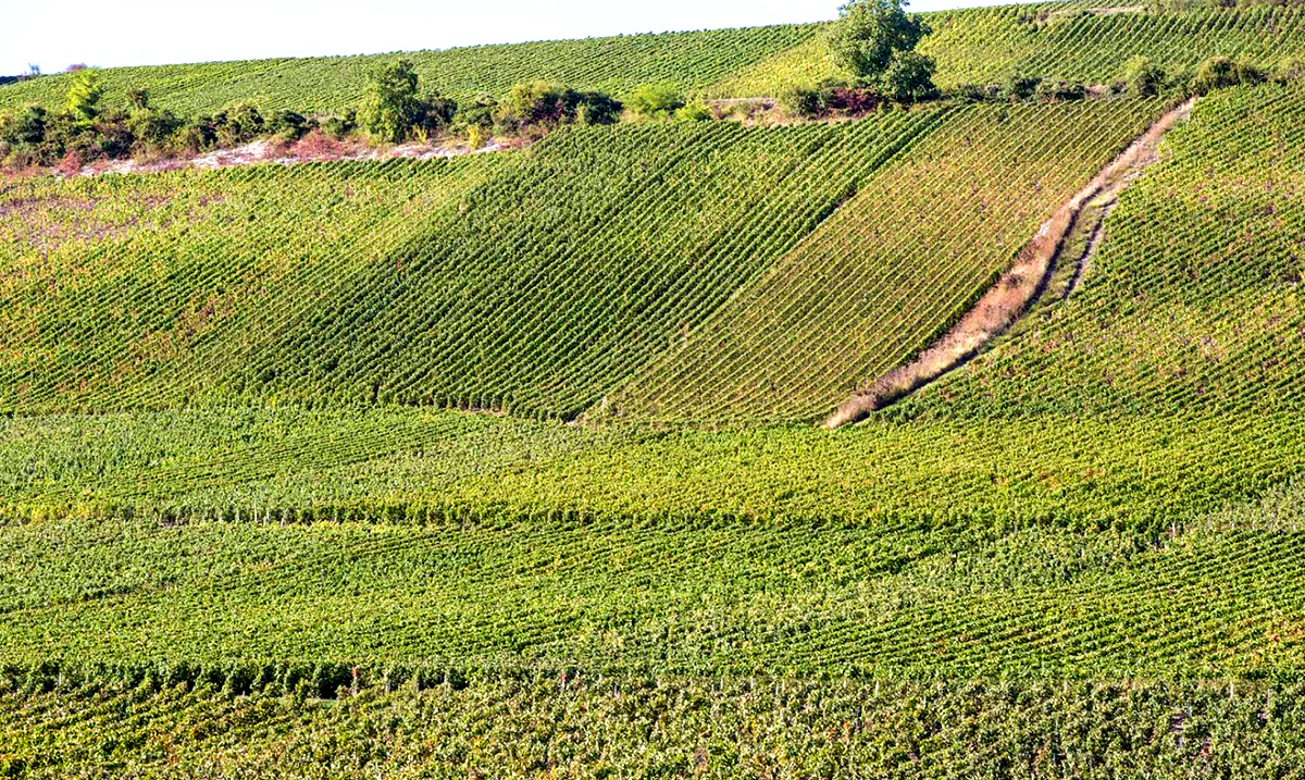 Crédits Photo : Coulommiers Pays de Brie Tourisme