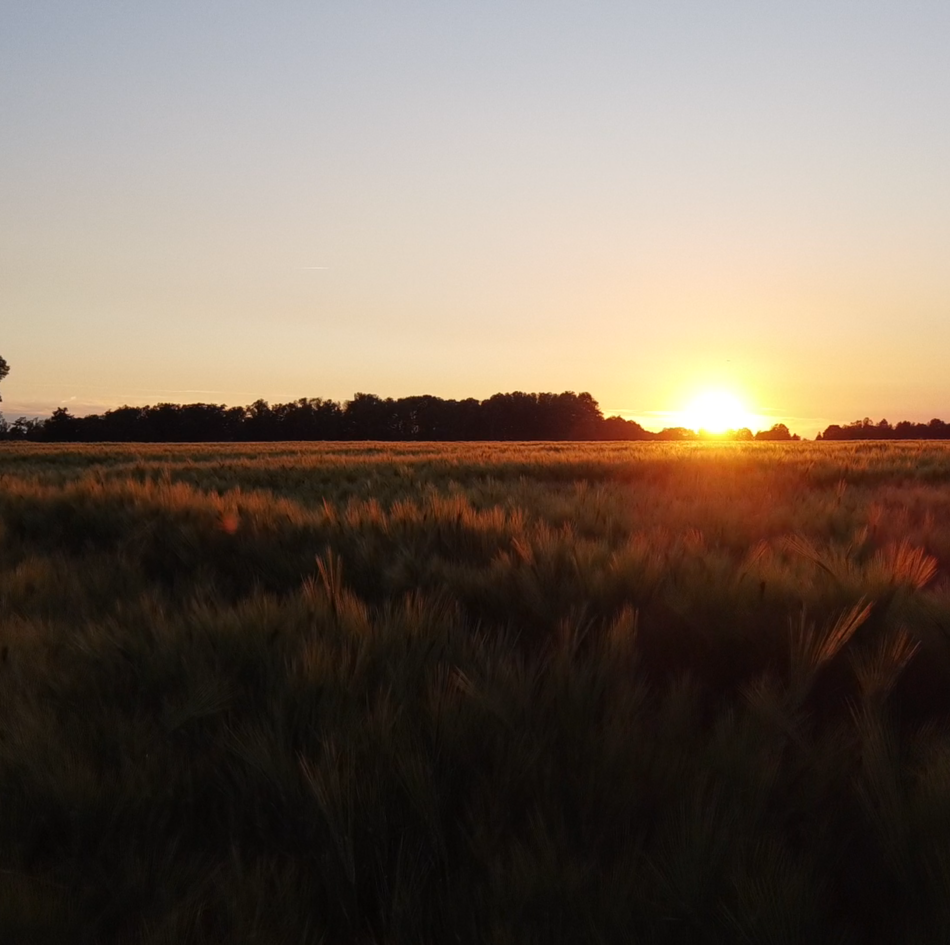 couche_soleil