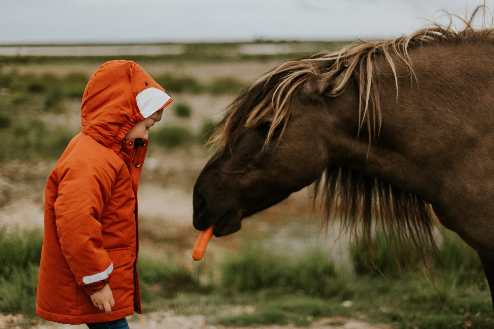 daiga-ellaby-tIpx6MN2Tn0-unsplash