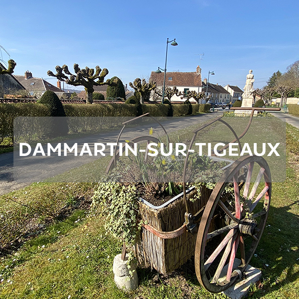 Dammartin-sur-Tigeaux