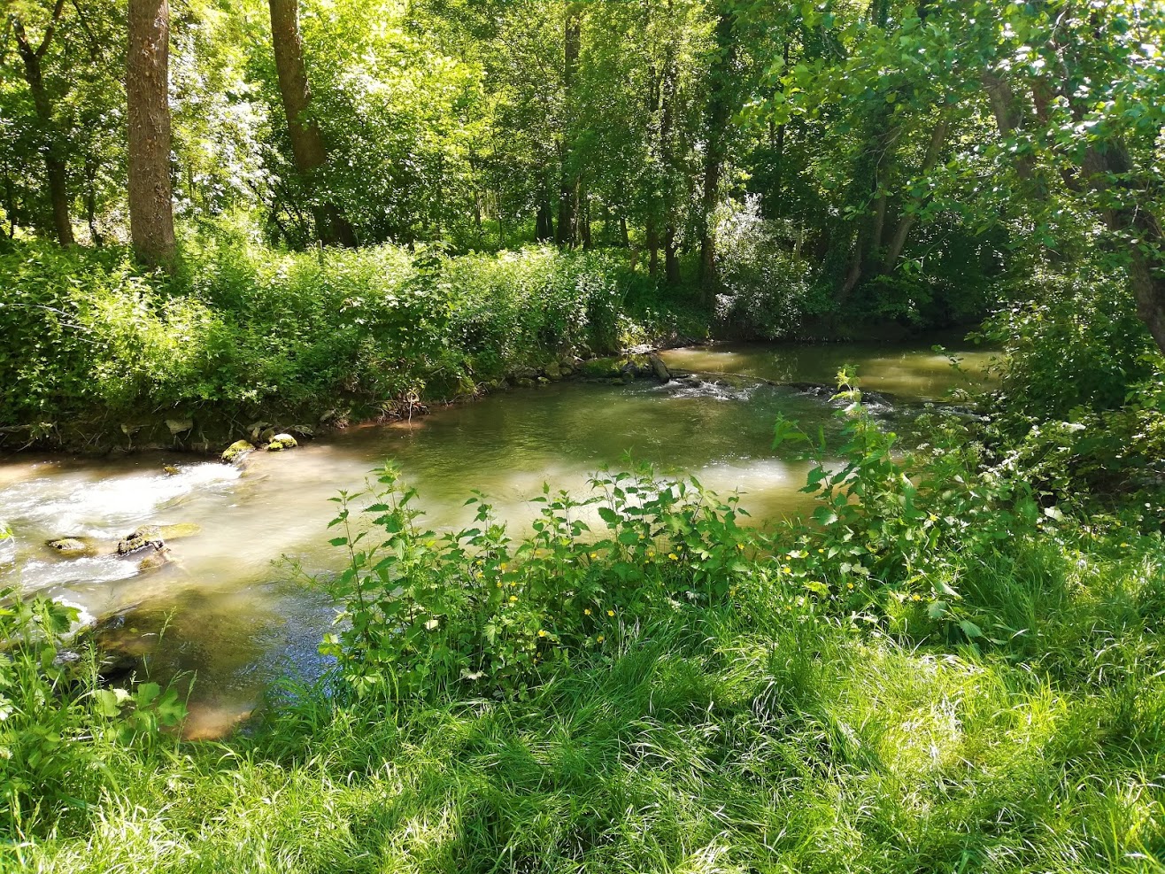 Du chemin _ l'Aubetin (2)