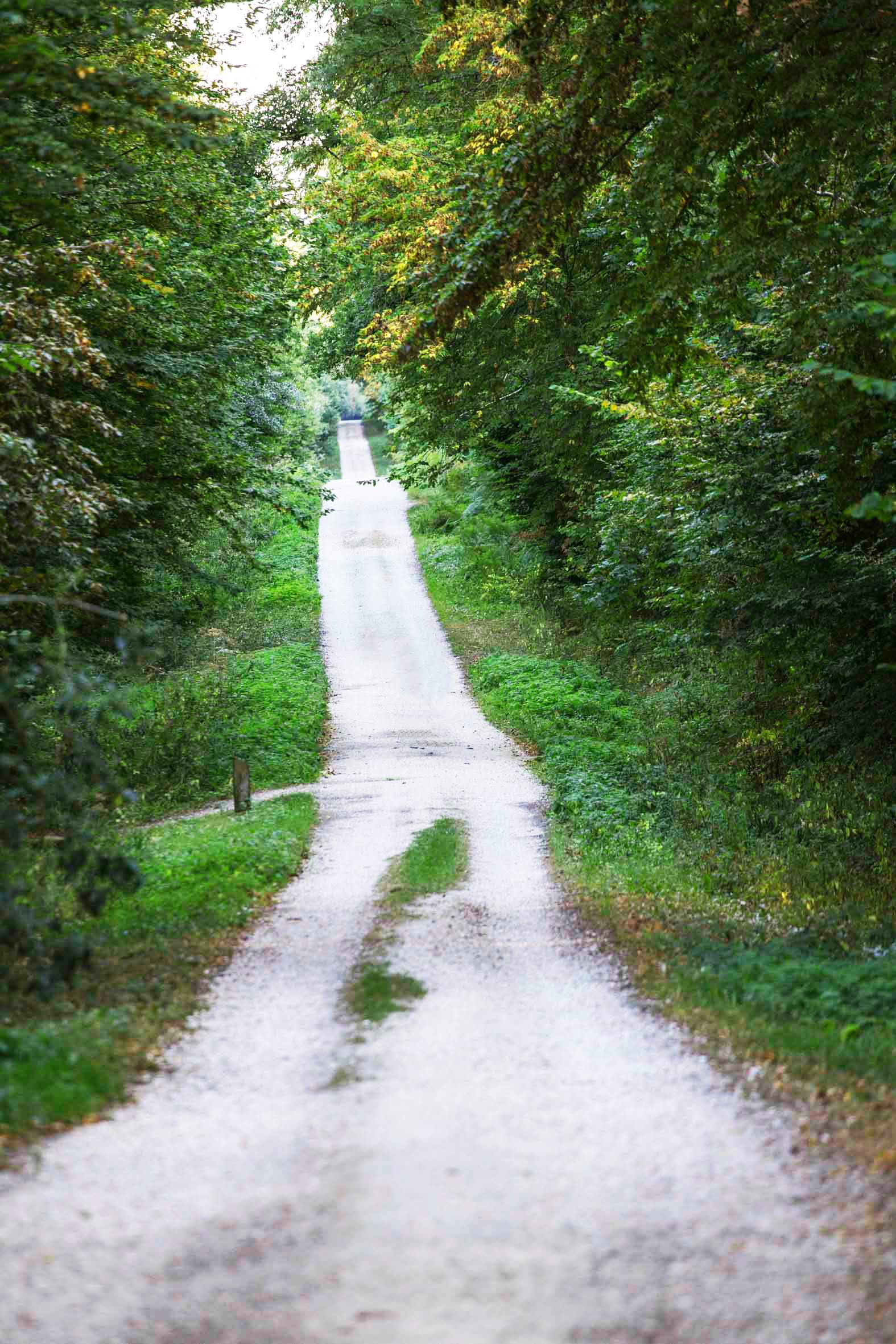 Chemin-Foret-de-Choqueuse-Jouarre-2018