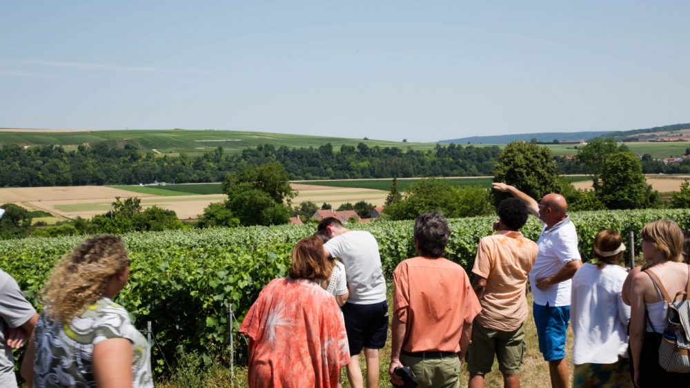 Visite-Vignes-Champagne-Bombart-Saacy-sur-Marne-01-07-18 Visite-Vignes-Champagne-Bombart-Saacy-sur-Marne-01-07-18
