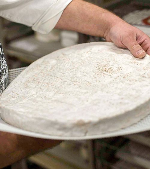 Brie-de-la-fromagerie-Ganot-Jouarre