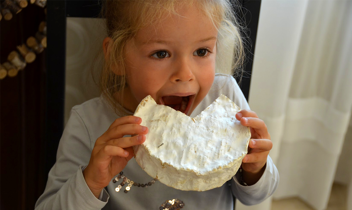 le brie de coulommiers 9