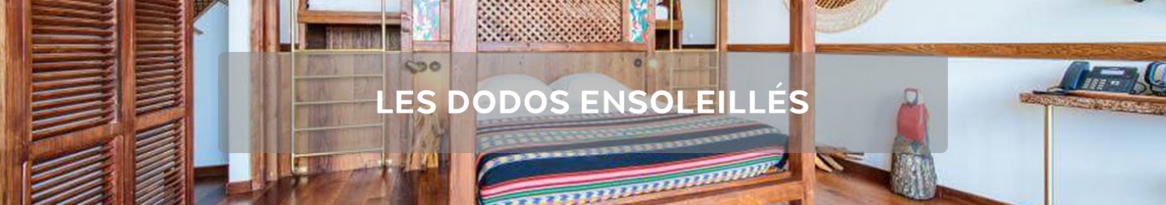 Les Dodos ensoleillés copie