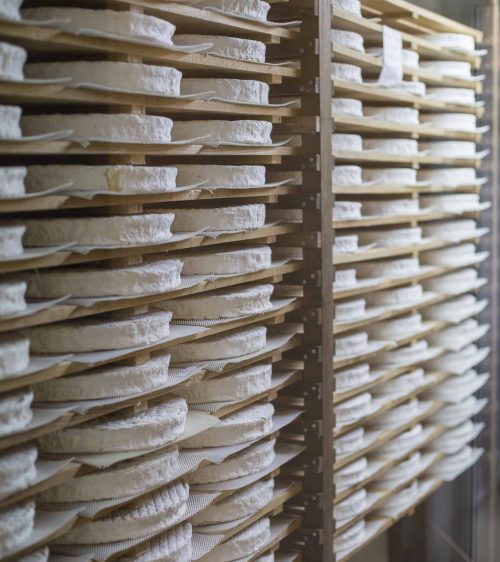 Etalage-de-Brie-Fromagerie-Ganot