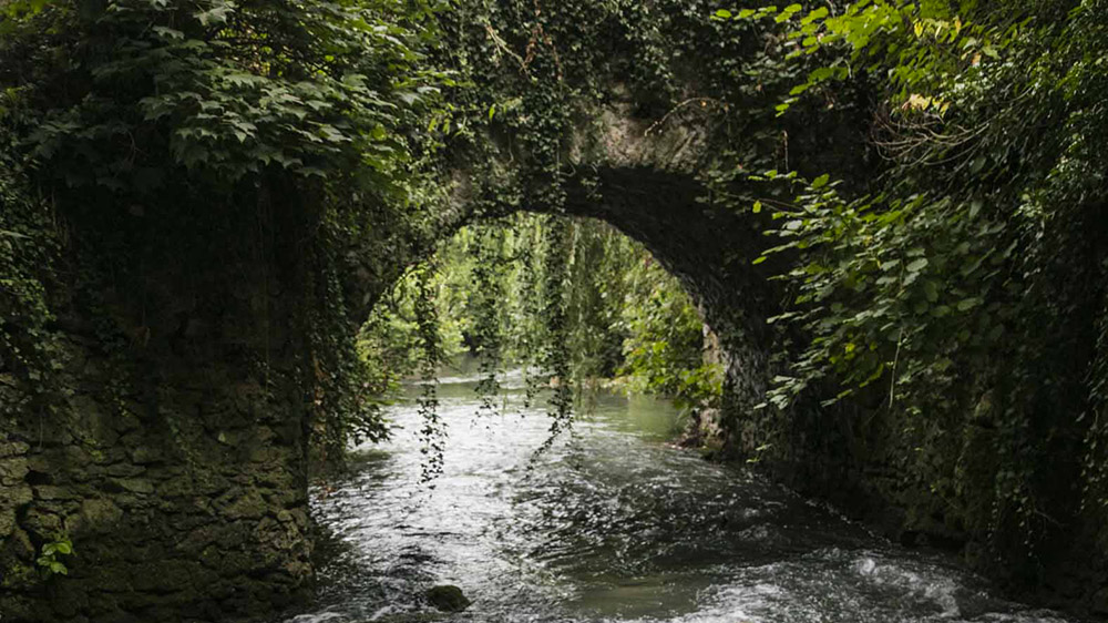 Pont-l'Aubetin-Crédit : Loi Seron