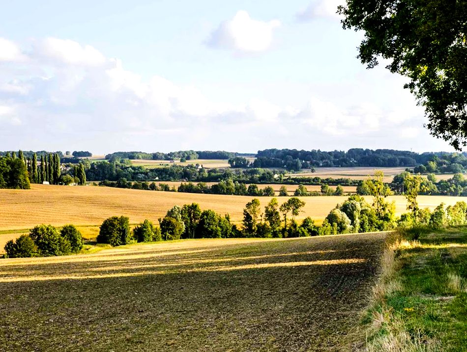 Crédits Photo : Coulommiers Pays de Brie Tourisme