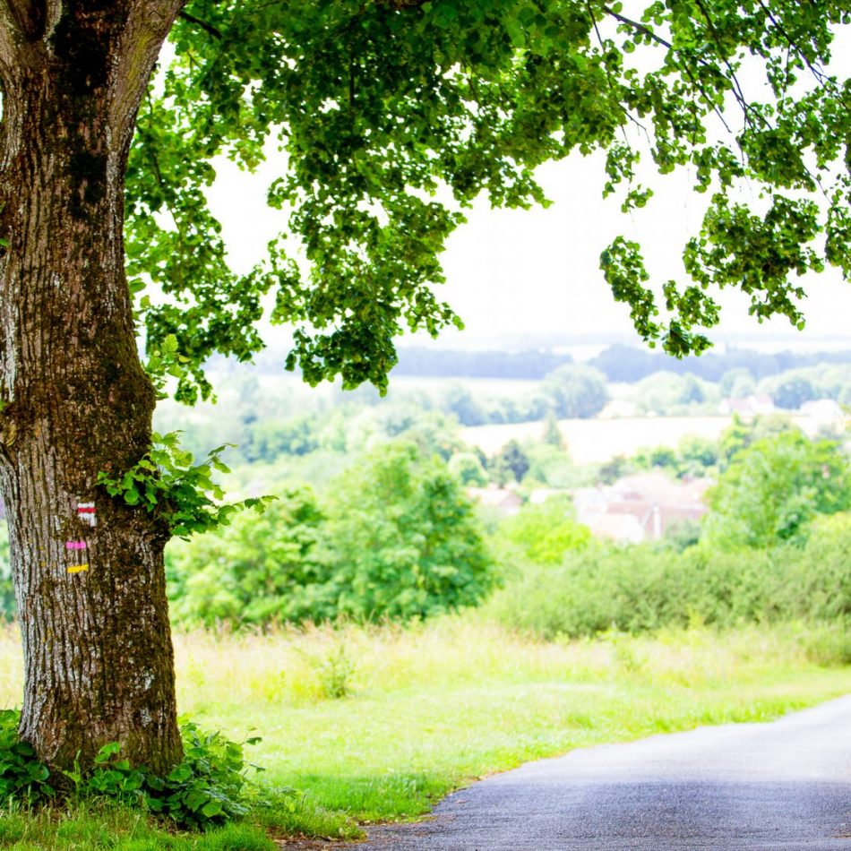 Campagne Pays de Brie