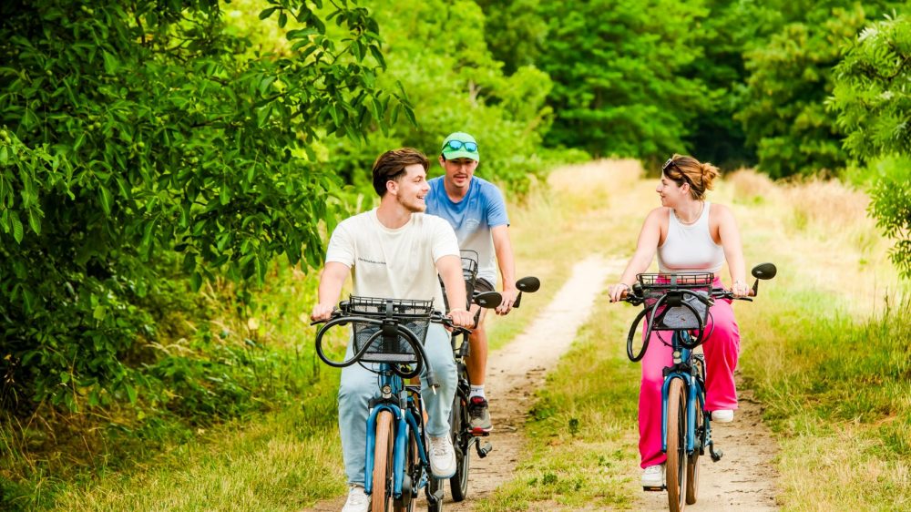 Balade à vélo en Pays de Brie