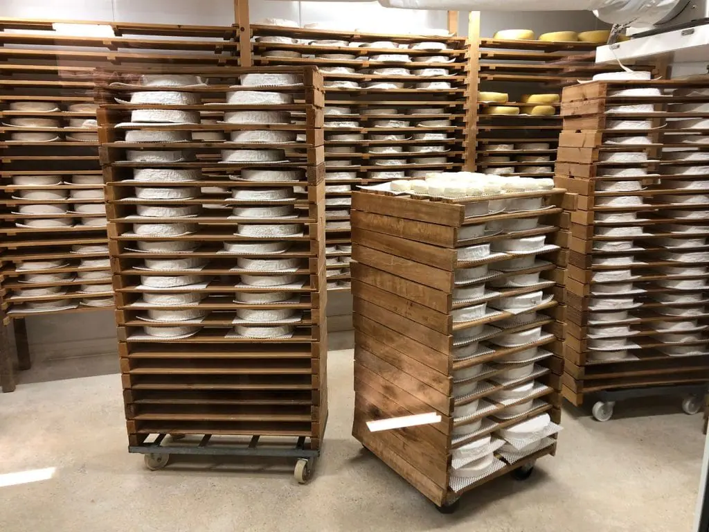 taille-de-base-31-1024x768.jpg