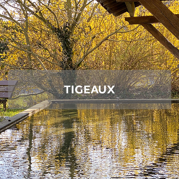 Tigeaux