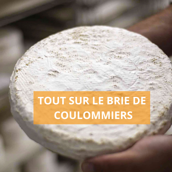 Tout (1)