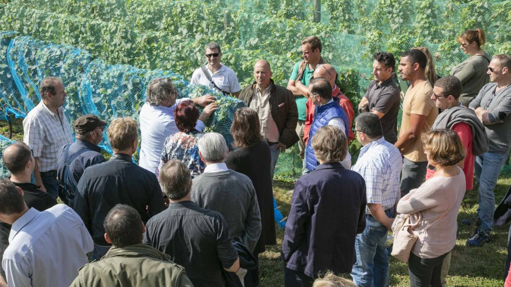 Visite-groupe-Vigne-Envie-Guerard-2018