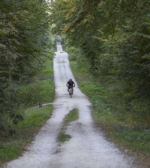 VTT-Foret-de-Choqueuse-Jouarre-2018 VTT-Foret-de-Choqueuse-Jouarre-2018